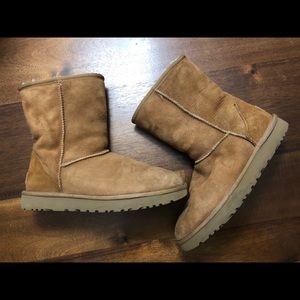 UGG Classic Brown / Chestnut Short Boots 👢👢